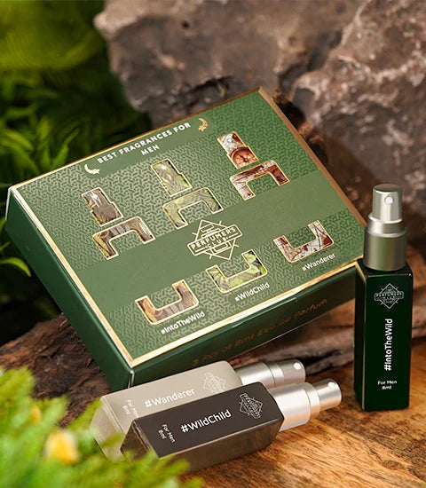 All Time Classic Perfume Combo Set for Men(LIGHTR + 9 Perfumes)